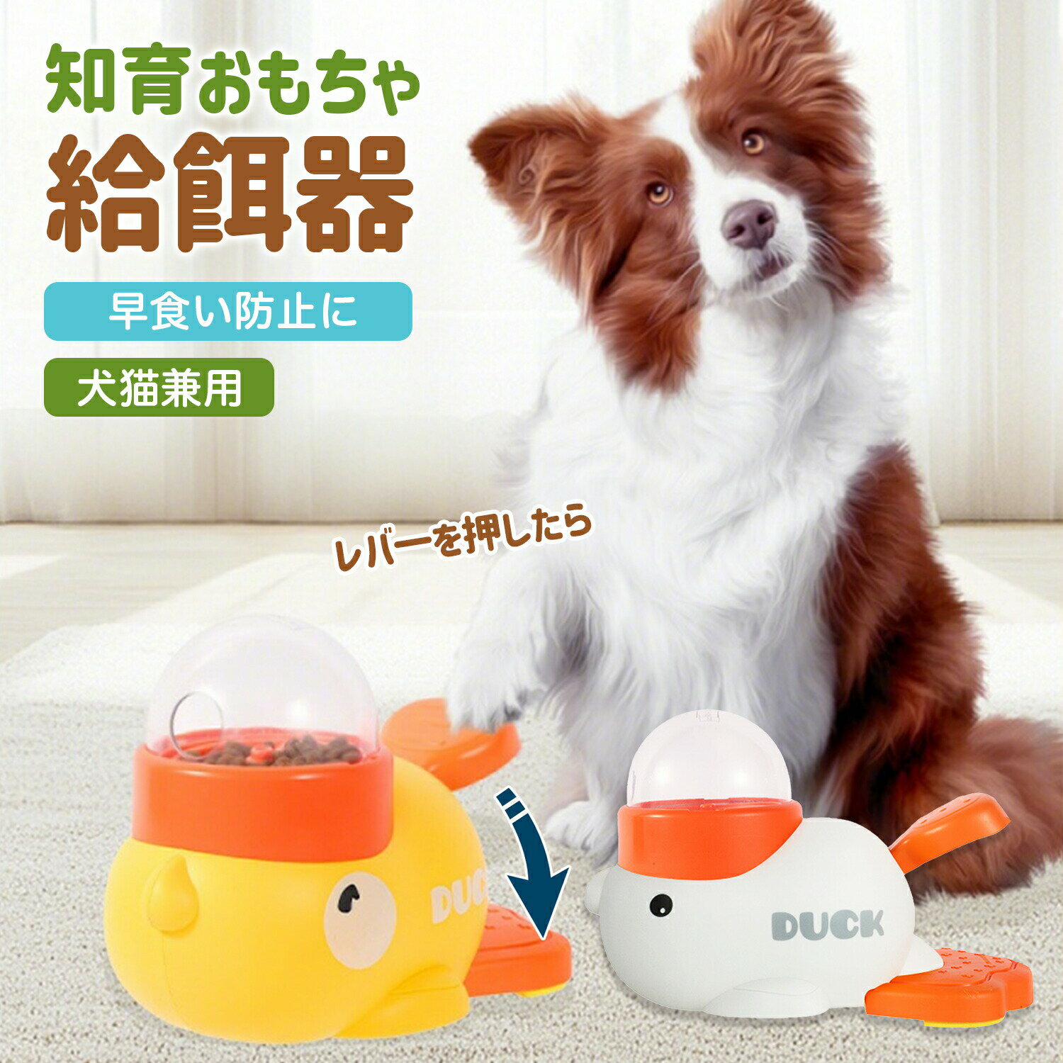 ���紶�պ׺ǰ���ĩ�����15��OFF���ΰ��´� �ڥå� ���� ǭ�� ��´� ������ ��µ� �ա��ɥܥ��� ��¤������ �������ե������� IQ���� �Ῡ����...