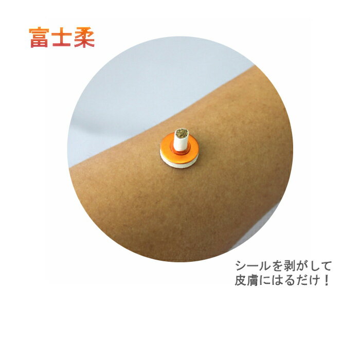 �ٻν�100���ٻν����ե�������100�����ꡡ��µ�