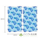 【使い方いろいろ】スノーパッククール Lサイズ 三重化学工(4)