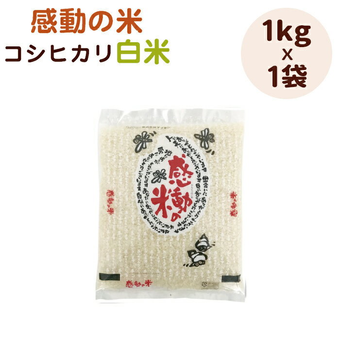 令和5年産感動の米コシヒカリ白米(1kg)