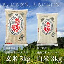 まいにち玄米、ときには白米。 【令和6年産】 福井県産コシヒカリ玄米5kg 福井県産コシヒカリ白米3kg のセット商品 特別栽培米 残留農薬検査 色彩選別