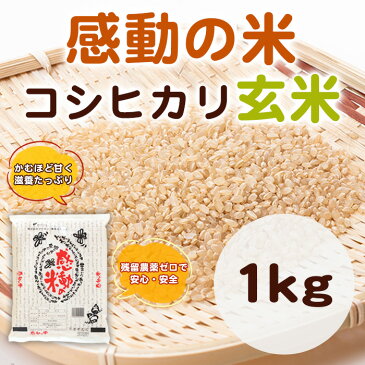 感動の米コシヒカリ玄米1kg（約6合用）