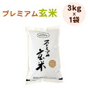 令和5年福井県産コシヒカリ　プレミアム玄米3kg