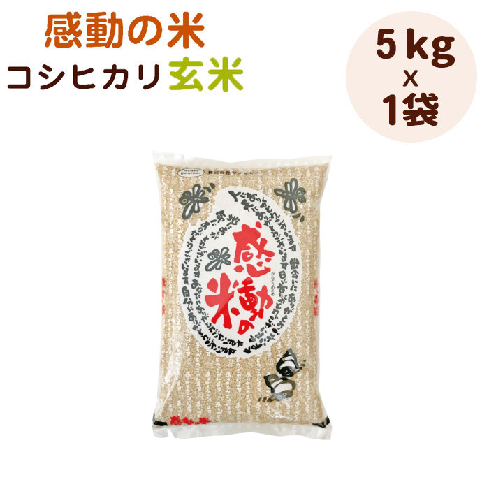 令和5年福井県産感動の米コシヒカ