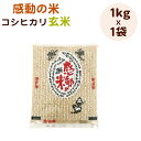 令和5年福井県産感動の米コシヒカリ玄米1kg 1