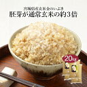 【ポイント最大13倍 4/25限定】 玄米 米 20kg 金のいぶき 宮城県産 令和5年産 送料無料 お米 5kg×4袋 20キロ 単一原料米 安くて美味しい 生活 両親 結婚 内祝い 引っ越し 挨拶 粗品 贈り物 ギフト お土産 香典 お返し おこめ おくさま印 備蓄米