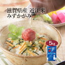 【ポイント10倍 4/24 20:00～4/27 9:59迄】 米 5kg みずかがみ 滋賀県産 令和5年産 送料無料 お米 白米 精米 5キロ 単一原料米 安くて美味しい 美味 生活 両親 出産 結婚 内祝い 引っ越し 挨拶 粗品 贈り物 ギフト 香典返し お返し おこめ おくさま印 備蓄米 特A