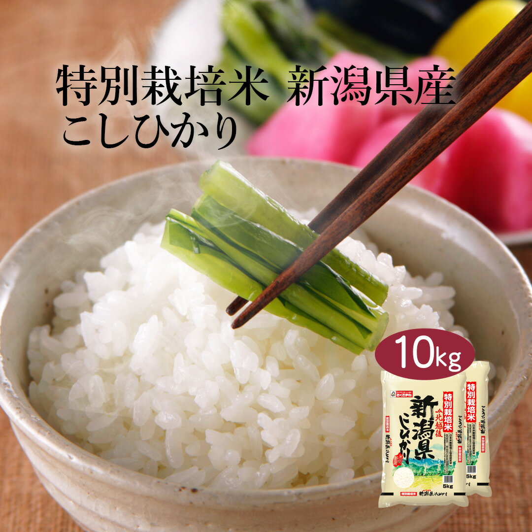 楽天市場】特別栽培米 10kg 新潟 コシヒカリの通販 楽天市場】特別栽培米 10kg 新潟 コシヒカリの通販