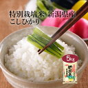 【LINE新規登録で150円OFFクーポン】 米 5kg コシヒカリ 特別栽培米 新潟県産 令和6年産 送料無料 お米 白米 精米 こしひかり 5キロ 単一原料...