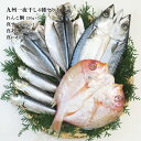 【LINE新規登録で150円OFFクーポン】九州一夜干し 4種セット れんこ鯛130g×1 真サバ160g×1 真あじ90g×2 真いわし30g×3 詰め合わせ 食べ物 ギフト 贈答品 お歳暮 お中元 内祝い 送料無料 【産直・メーカー直送品】