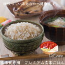  玄米ご飯パック 宮城県産 金のいぶきごはん 12個セット (120g×12) お米 おくさま印 食品 栄養 健康 レンジで簡単 温めるだけ レトルト ギフト 引っ越し 挨拶 出産 内祝い お歳暮 結婚 快気 還暦 送料無料 備蓄米