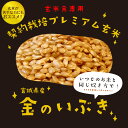 【LINE新規登録で150円OFFクーポン】 玄米 米 5kg 金のいぶき 宮城県産 令和5年産 送料無料 お米 5キロ 単一原料米 安くて美味しい 美味 生活 両親 結婚 内祝い 引っ越し 挨拶 粗品 贈り物 ギフト お土産 香典 お返し おこめ おくさま印 備蓄米 3