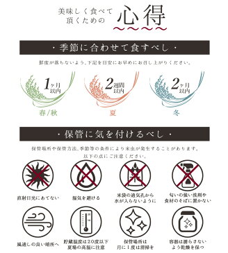 【送料無料】 滋賀県産 きぬひかり お米 10kg 5kg×2袋 ＜白米＞ おくさま印 令和元年産 単一原料米 国産 袋 普通精米 ※沖縄・離島へは別途送料