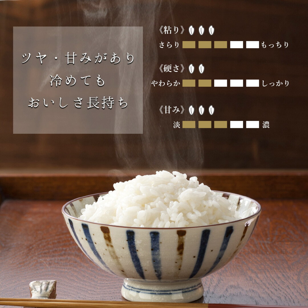 【送料無料】【令和2年産】【特A】北海道産ななつぼし10kg(5kg×2袋)<白米>お米単一原料米おくさま印送料込み※沖縄・離島除く