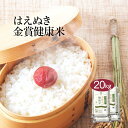 【送料無料】【令和2年産】山形県産 金賞健康米はえぬき 20kg (5kg×4袋) ＜白米＞お米 単一原料米 おくさま印 送料込み ※沖縄・離島除く