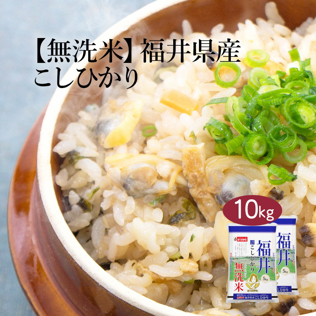 【1000円引きクーポン＆特典】米 10kg(5kg×2袋) 福井県産 無洗米「こし...