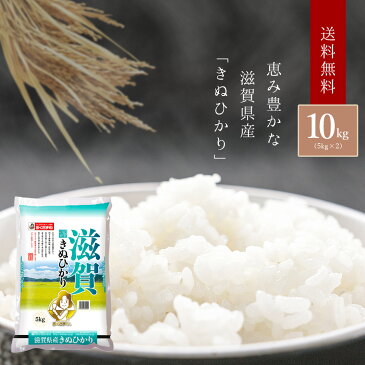 【送料無料】 滋賀県産 きぬひかり お米 10kg 5kg×2袋 ＜白米＞ おくさま印 令和元年産 単一原料米 国産 袋 普通精米 ※沖縄・離島へは別途送料