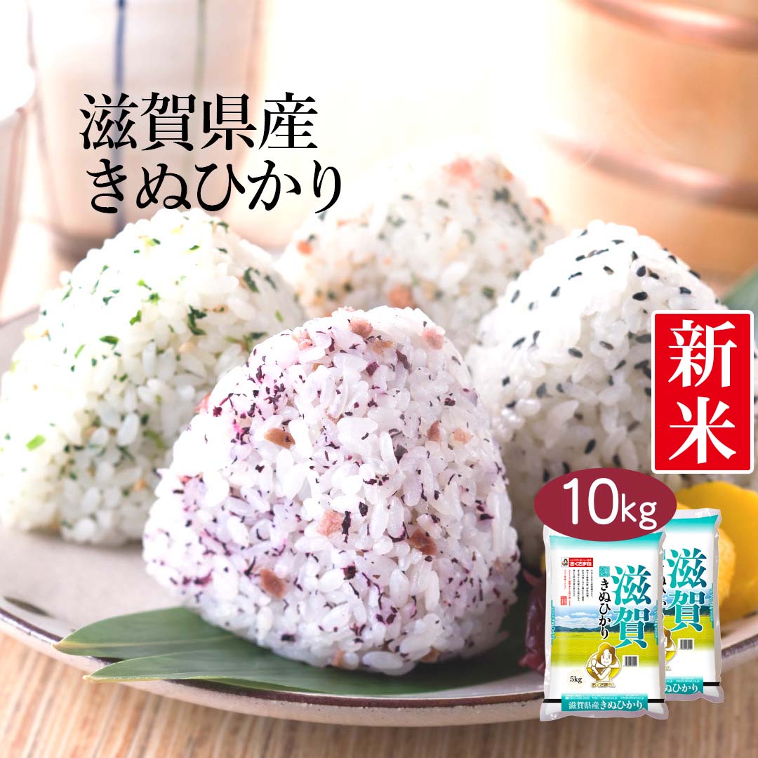 【送料無料】【令和3年産】滋賀県産 きぬひかり 10kg (5kg×2袋) ＜白米＞お米 単一原料米 おくさま印 送料込み ※沖縄・離島除く