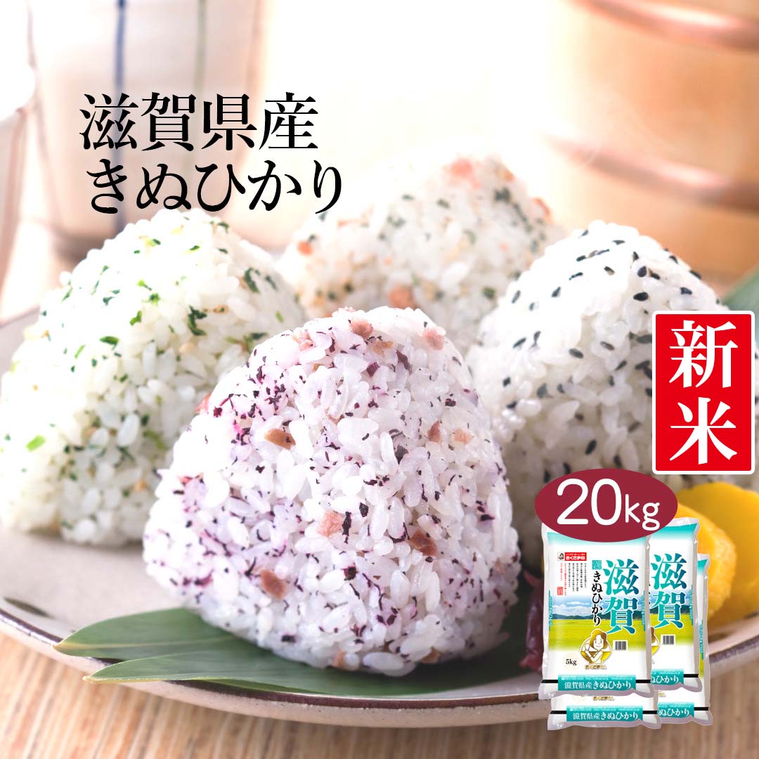 【送料無料】【令和3年産】滋賀県産 きぬひかり 20kg (5kg×4袋) ＜白米＞...