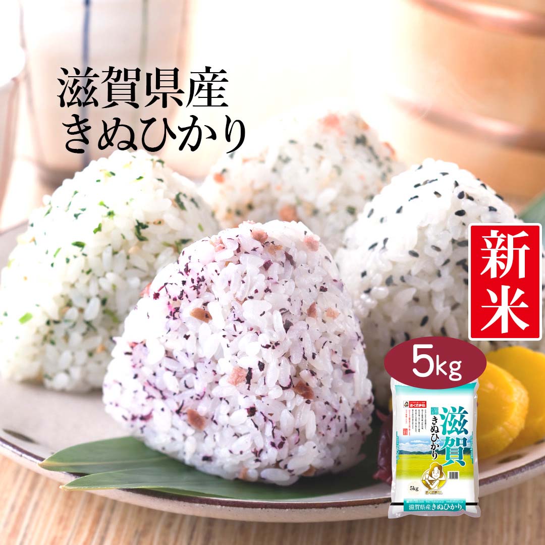 【送料無料】 【令和3年産】滋賀県産 きぬひかり 5kg ＜白米＞お米 単一原料米 おくさま印 送料込み ※北海道・沖縄離島除く