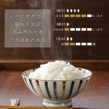 【送料無料】 滋賀県産 きぬひかり お米 10kg 5kg×2袋 ＜白米＞ おくさま印 令和元年産 単一原料米 国産 袋 普通精米 ※沖縄・離島へは別途送料