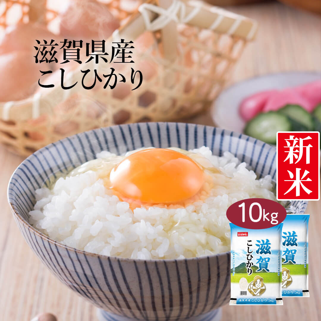 【送料無料】【令和3年産】【特A】滋賀県産 こしひかり 10kg (5kg×2袋) ...