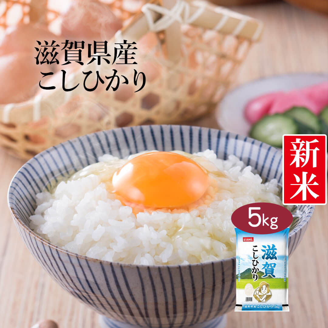 【送料無料】 【令和3年産】【特A】滋賀県産 こしひかり 5kg ＜白米＞お米 単一...