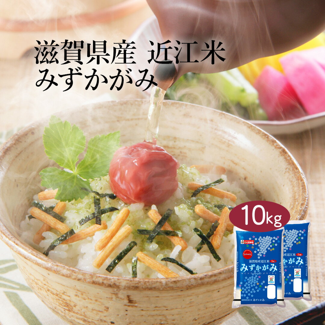 【送料無料】【令和3年産】滋賀県産 近江米 みずかがみ 10kg (5kg×2袋) ＜白米＞お米 単一原料米 おくさま印 送料込み ※沖縄・離島除く