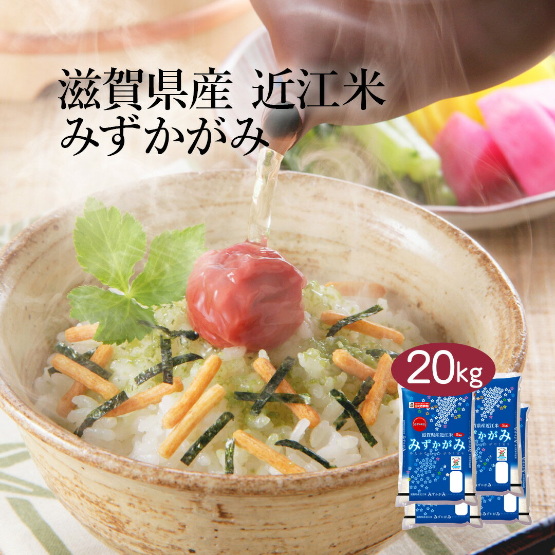 【送料無料】【令和3年産】滋賀県産 近江米 みずかがみ 20kg (5kg×4袋) ...