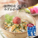 【送料無料】【令和2年産】滋賀県産 近江米 みずかがみ 20kg (5kg×4袋) ＜白米＞お米 単一原料米 おくさま印 送料込み ※沖縄・離島除く