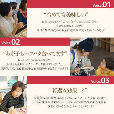 【送料無料】 山形県産 金賞健康米はえぬき お米 10kg 5kg×2袋 ＜白米＞ おくさま印 令和元年産 単一原料米 国産 袋 普通精米 ※沖縄・離島へは別途送料