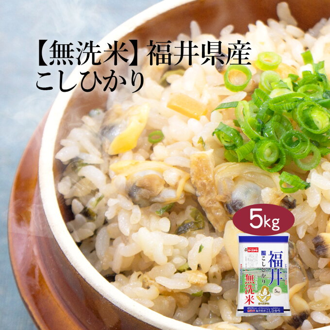 米 5kg 福井県産 無洗米「こしひかり」国産 国内産 日本産 白米 袋 5キロ【送料無料】※北海道・沖縄・離島を除く