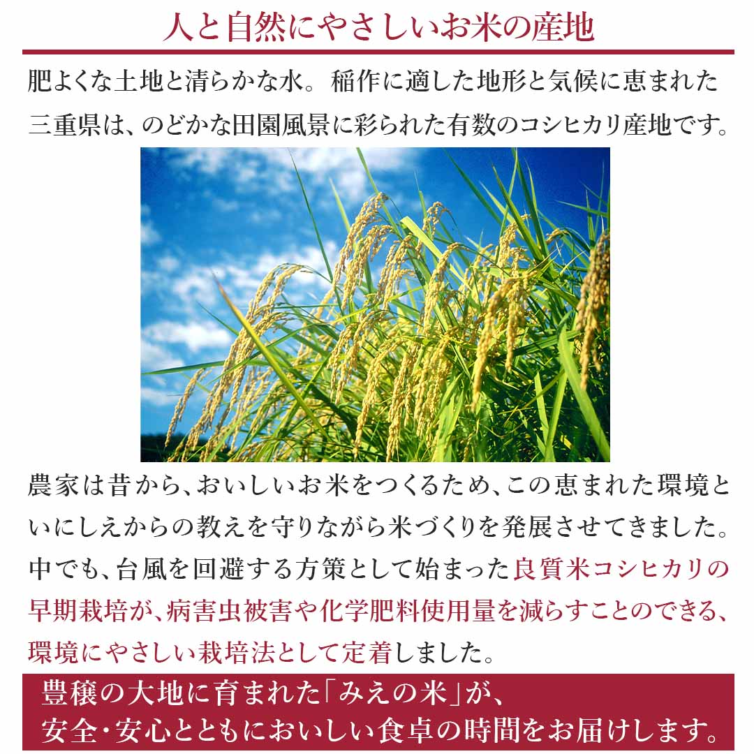 【2022年産新米】【送料無料】【令和4年産】無洗米 三重県産 こしひかり 30kg (5kg×6袋) ＜ 無洗米 ＞お米 単一原料米 おくさま印 送料込み ※沖縄・離島除く