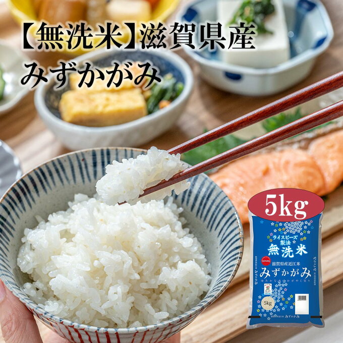 【送料無料】【令和3年産】 無洗米 滋賀県産 近江米 みずかがみ 5kg＜無洗米＞お米 単一原料米 おくさま印 送料込み ※沖縄・離島除く