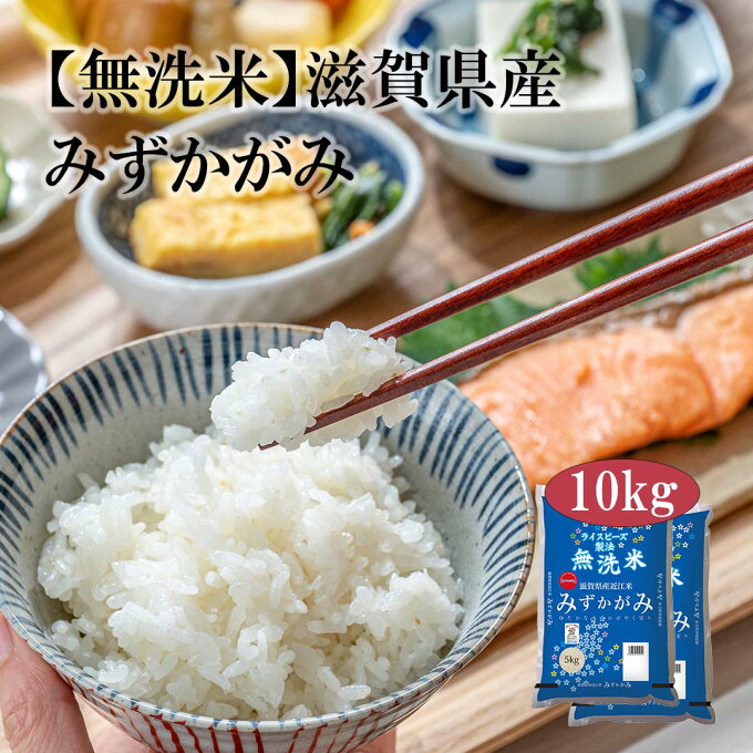 【送料無料】【令和3年産】 無洗米 滋賀県産 近江米 みずかがみ 10kg (5kg×2袋) ＜無洗米＞お米 単一原料米 おくさま印 送料込み ※沖縄・離島除く