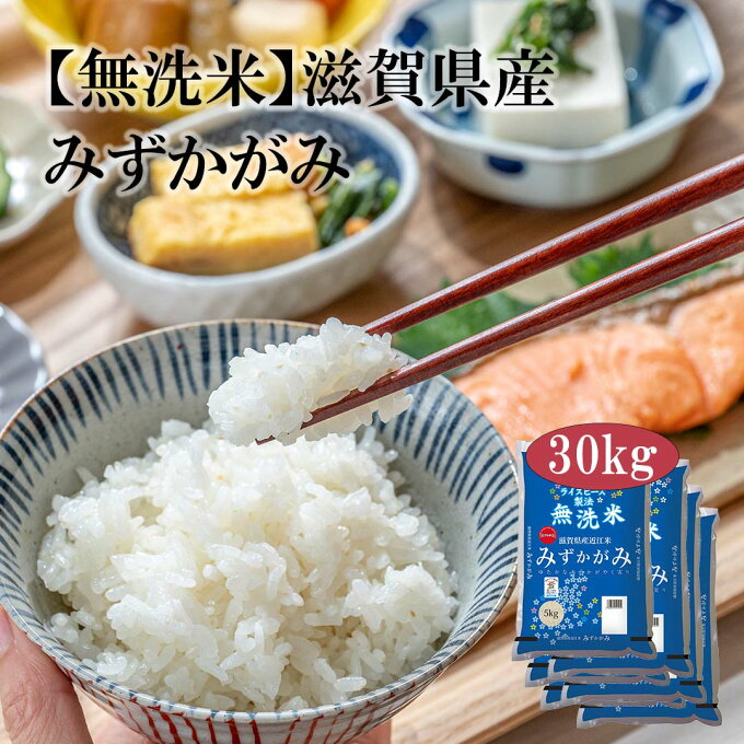 【送料無料】【令和3年産】 無洗米 滋賀県産 近江米 みずかがみ 30kg (5kg×4袋) ＜無洗米＞お米 単一原料米 おくさま印 送料込み ※沖縄・離島除く