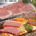 【LINE新規登録で150円OFFクーポン】佐賀牛 肩ロース 焼肉 480g 牛肉 食べ物 ギフト 贈答品 お歳暮 お中元 内祝い 送料無料 【産直・メーカー直...