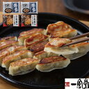 【エントリーでポイント10倍!!】 一風堂 & 博多八助監修 ひとくち餃子セット(2種計4袋) 一風堂ひとくち餃子×2 博多八助監修博多うまかひとくち餃子×2 ...