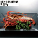 【LINE新規登録で150円OFFクーポン】徳島 「吟月」 天然冷凍伊勢海老×2尾(計240g) お取り寄せグルメ 食べ物 ギフト 贈答品 お歳暮 お中元 内祝...