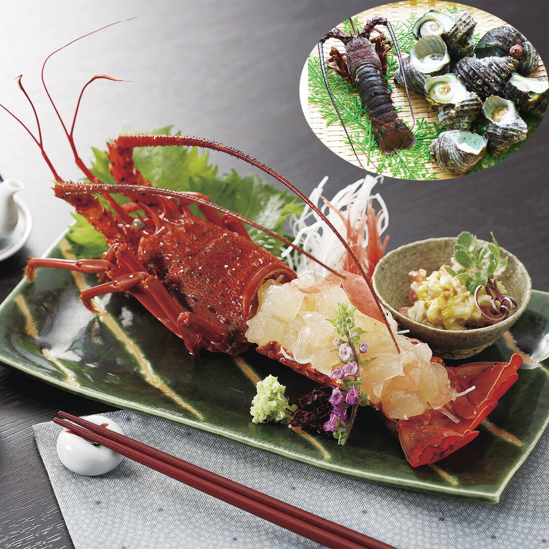 『LINE新規登録で150円OFFクーポン』徳島 天然伊勢海老と天然サザエ詰め合わせ 伊勢海老1尾（120g~150g..