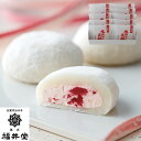 【おくさま印の日300円クーポン配布!】 岡山 創業明治四年 福井堂 生クリーム大福いちご×10セット 詰め合わせ 和菓子 お菓子 美味しい フルーツ 餅 スイ...