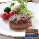 【LINE新規登録で150円OFFクーポン】佐賀 佐賀牛ハンバーグ 100g×5 セット お惣菜 冷凍 食べ物 ギフト 贈答品 お歳暮 お中元 内祝い 送料無料...
