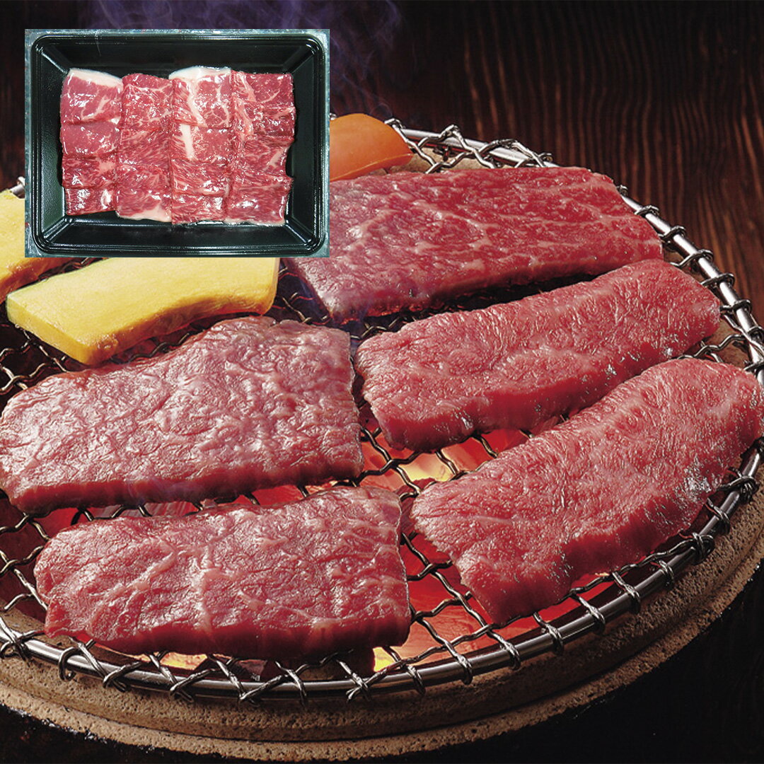 【LINE新規登録で150円OFFクーポン】 岐阜 飛騨牛焼肉 焼肉用（モモ）500g 【産直・メーカー直送品】