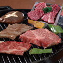 【おかゆの日限定クーポン配布】茨城 常陸牛 焼肉 モモ・バラ 500g セット 牛肉 食べ物 ギフト 贈答品 お歳暮 お中元 内祝い 送料無料 【産直・メーカー直送品】