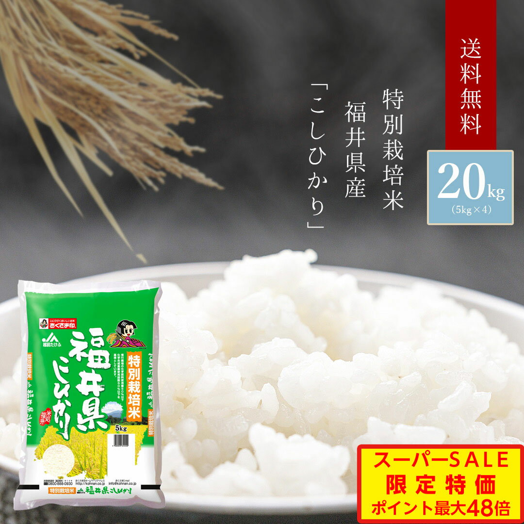 ?スーパーSALE大特価&ポイント5倍！／ お米 20kg 福井県産 「こしひかり」 国産 袋 あす楽 特別栽培米 内祝い お返し 出産内祝い 結婚内祝い 快気祝い お年賀 お中元 お歳暮 お礼 ギフト 贈り物 引出物 人気 ランキング おしゃれ 送料無料(北海道・沖縄・離島を除く)