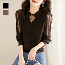 襟付き長袖レースTシャツ レディース レース 襟 透け感 シースルー上品 シック 女性らしい ディナー オフィス デートシャツ ニット ブラック ブラウン スタンダードカラー 夏服 結婚式 フォーマル オフィス 韓国ファッション