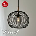 Theobald テオバルト ペンダントライト ペンダントライト 1灯 LED対応 天井照明 E17 口金 照明 吊り下げ 引掛シーリング ダクトレール シーリ...
