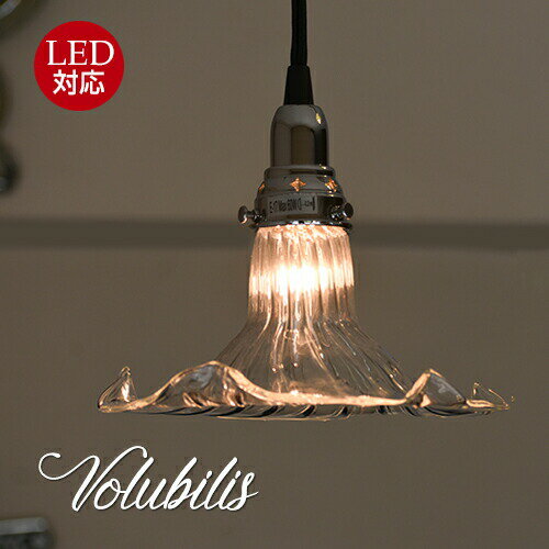 ヴォリュビリス Volubilis ペンダントランプ
