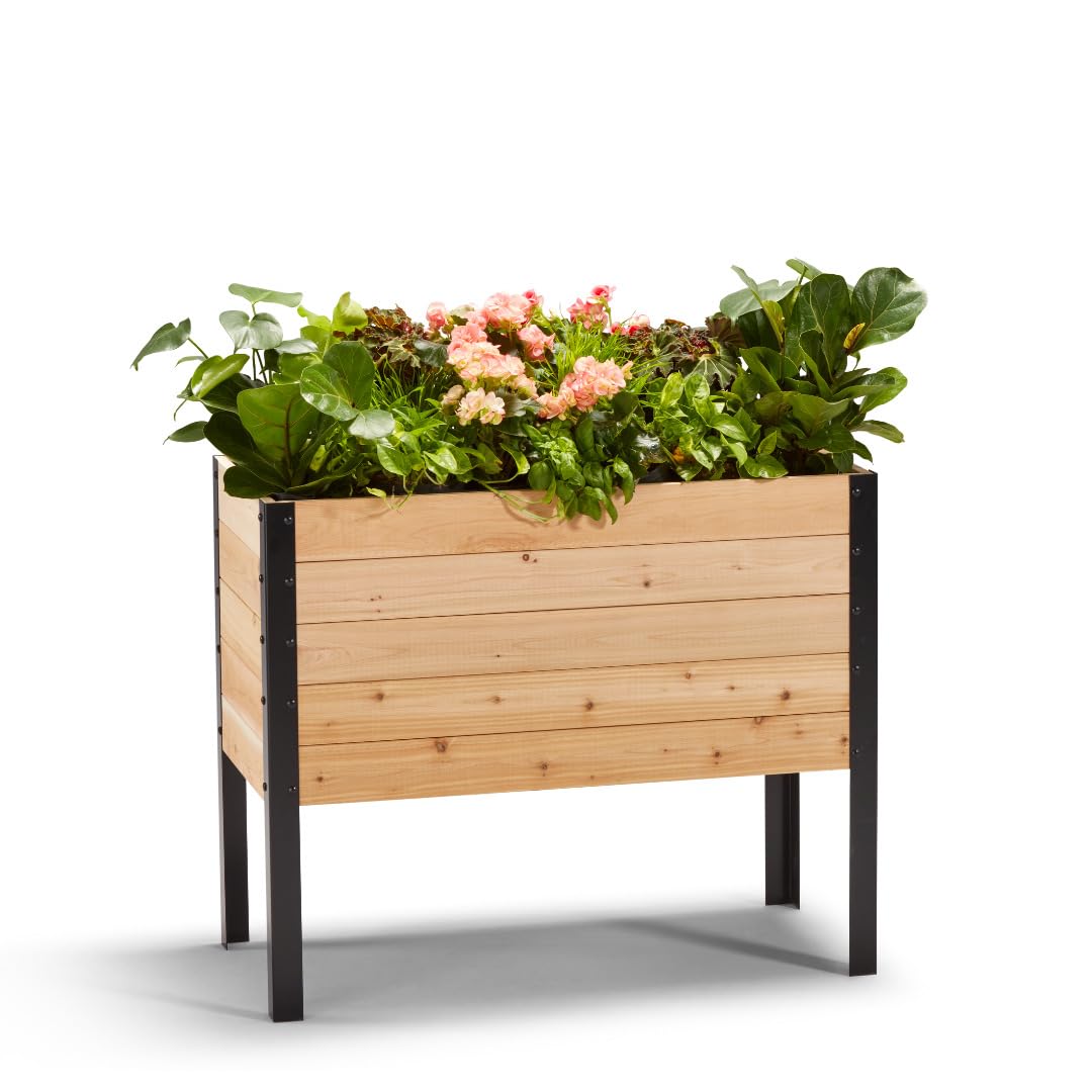 Rakuten - EARTH ELEVATED 100% カナダ産シダーウッド 高床式ガーデンベッド ガーデニング用 プランター 室内・屋外パティオ・バルコニー・デッキ用 ハーブ・花・野菜栽培 46cm x 91cm x 76cm