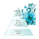 テスターオイル6ml・トラベル☆ランプ・ベルジェ パリ メゾン・ベルジェ パリ☆フランス製☆正規輸入品☆(4)